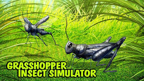 download Grasshopper insect simulator apk